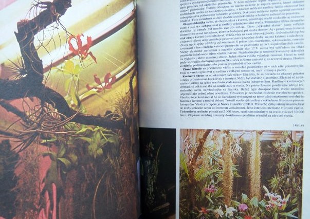 Kvety , moja záľuba 1988
