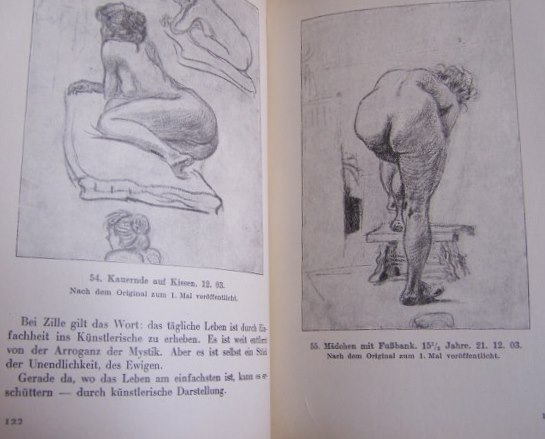Das Zillebuch Mit 223 meist erstmalig Bildern 1929