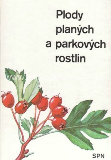 Plody planých a parkových rostlin