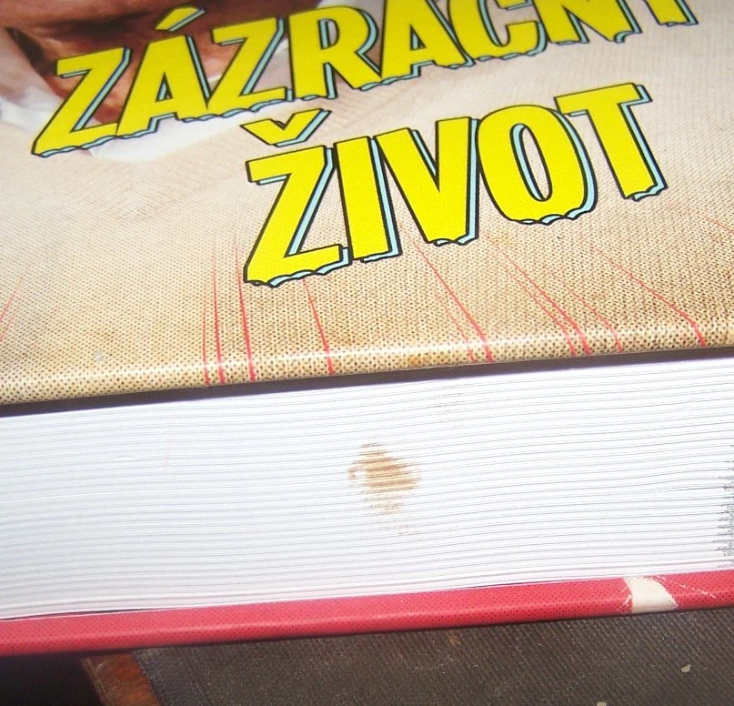 ZÁZRAČNÝ ŽIVOT - STAN LEE A JEHO ÚŽASNÝ PŘÍBĚH (sleva 67% - viz popis)