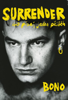 SURRENDER : 40 PÍSNÍ,JEDEN PŘÍBĚH