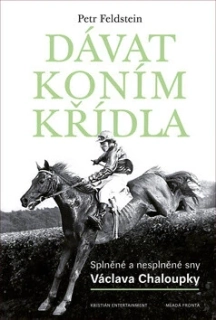 DÁVAT KONÍM KŘÍDLA