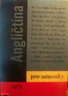 Angličtina pro samouky