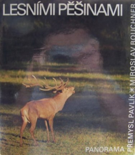 Lesními pěšinami