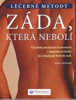 ZÁDA,KTERÁ NEBOLÍ