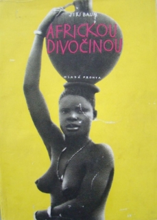 Africkou divočinou