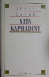 Stín kapradiny